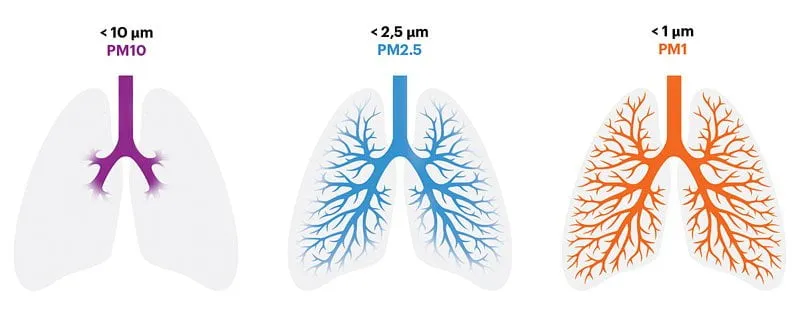 The smaller the particles the deeper they go in the lungs.